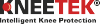Kneetek