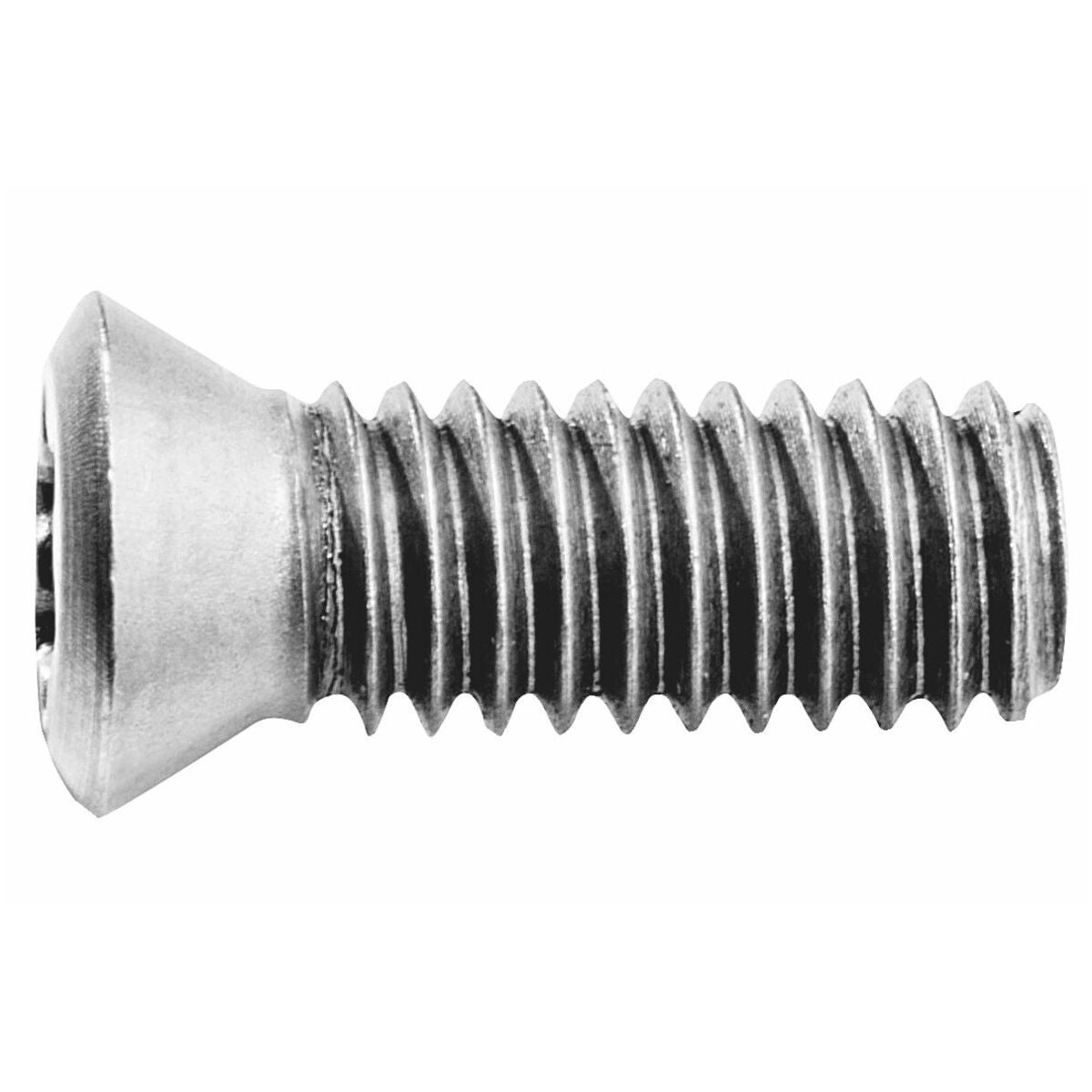 Kiinnitysruuvit vaihtoterille, 10 kpl 623566000