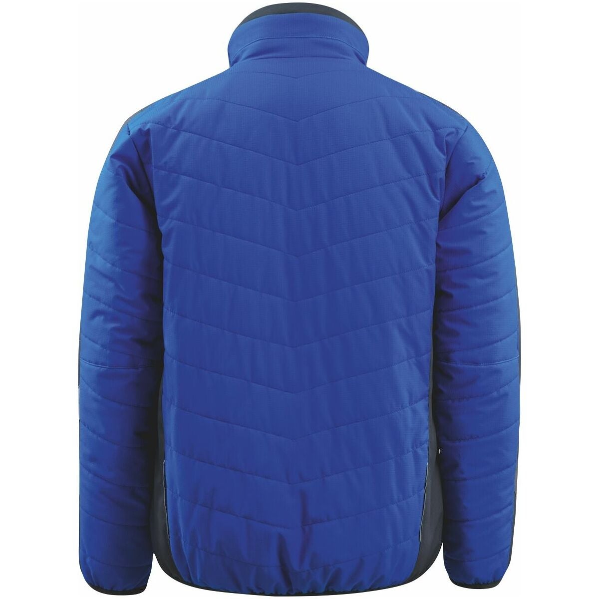 Loft-takki Erding ruiskukansininen / tummansininen 3xl