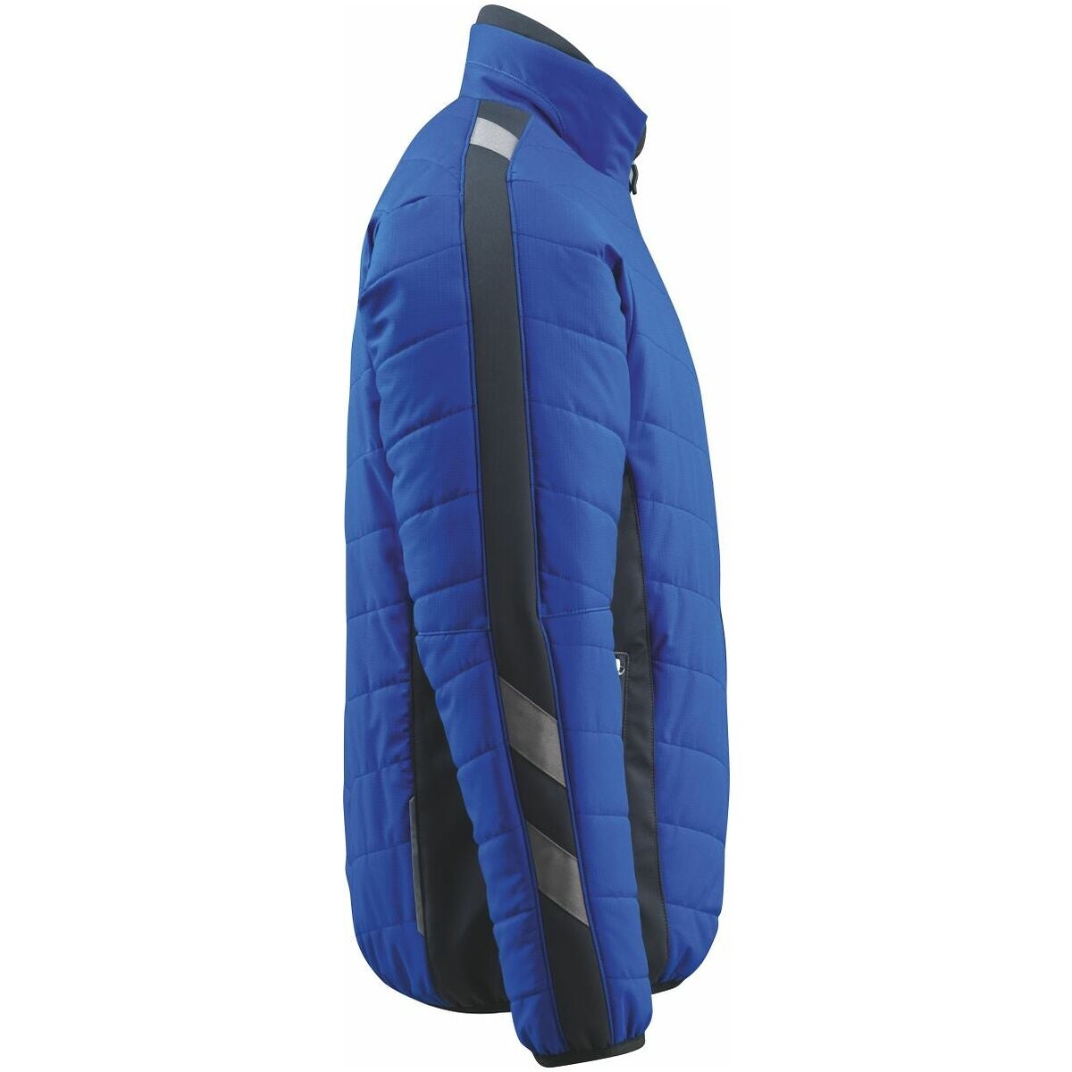 Loft-takki Erding ruiskukansininen / tummansininen 3xl