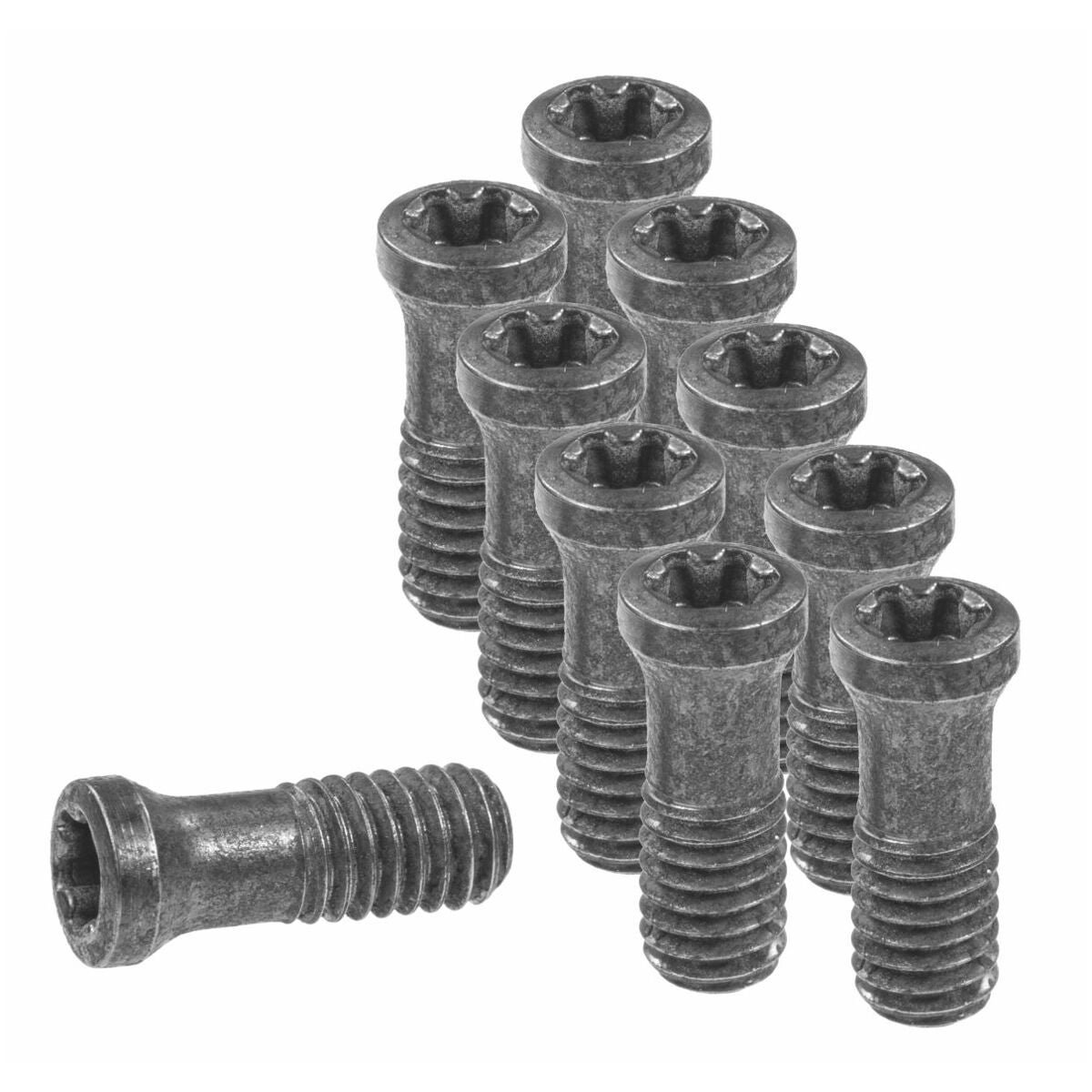 Ruuvisarja kääntöterälle, 10 osaa